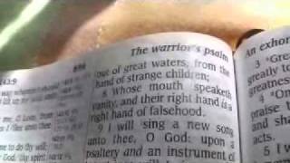 Psalm 144 King James Holy Bible [upl. by Jaclin526]