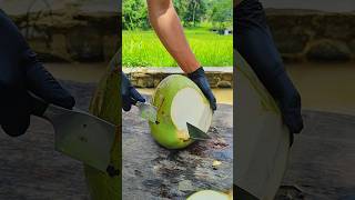 Amazing satisfying asmr open supper big coconut asmr coconut satisfying KangKundang [upl. by Nylecsoj]