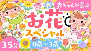 【赤ちゃんが喜ぶ音楽】赤ちゃんの笑いが止まらないお花スペシャル🌷│赤ちゃんが泣き止む 笑う 喜ぶ 寝る│0歳1歳2歳3歳の知育アニメ│乳児・幼児向け知育動画【子供の歌】 [upl. by Hadias]