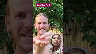 Aratiles fruit shorts trending education study viralshorts shikhachauhan [upl. by Anurag]