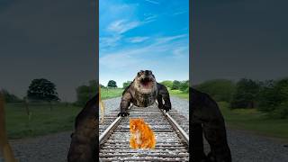 What Happens When Cute Cats Meet a Hungry Crocodile [upl. by Darline]