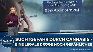 KIFFERPARADIES DEUTSCHLAND Polizei planlos  CannabisFreigabe wirft viele Fragen auf  WELT Thema [upl. by Ansley]