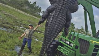 7 crocodilos GIGANTES que assustam qualquer pessoa [upl. by Edmond]