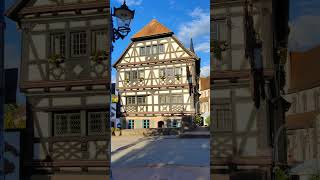 Вайнгартен🇩🇪07072024germany badenwuerttemberg weingarten travel явгерманииshortsмояжизнь [upl. by Abell]