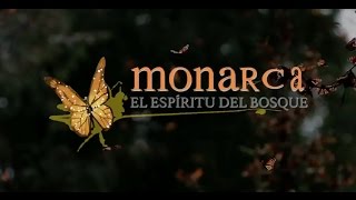 Monarca el Espíritu del Bosque Maderas del Carmen [upl. by Artenal]