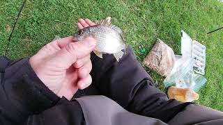 FISHING THE MARIBYRNONG RIVER [upl. by Meeki]