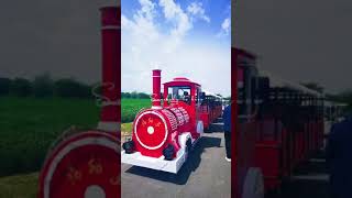 adults rideable trackless train for sale electric [upl. by Odelinda]