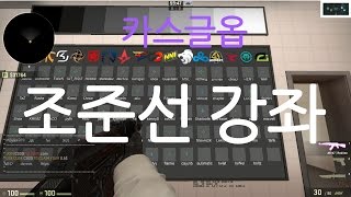 카스글옵 조준선 크로스헤어 강좌쉽게 조준선 찾기 [upl. by Elrebma]