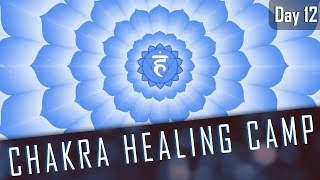 THROAT CHAKRA AFFIRMATIONS  14 Day Chakra Healing Camp Day12 [upl. by Halilad657]