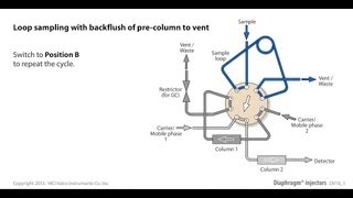 Loop sampling with backflush of pre column to vent with a diaphragm valve [upl. by Attaynek264]