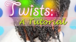 How to Twist Single Stand Twist Tutorial  NaturallyNerdful [upl. by Anne]