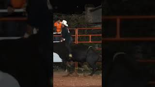 J EL FLACO DE ORO VS T EL ORO NEGRO RANCHO EL RINCONCITO [upl. by Rubina145]