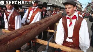 Narrenbaumstellen mit Winfried Kretschmann Stockach am Bodensee 27022014 [upl. by Jareen604]