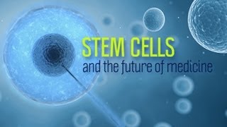 Stem Cells and the Future of Medicine  Research on Aging [upl. by Gladdy]