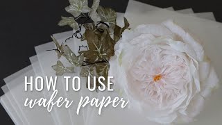 What is Wafer Paper How to use wafer paper Can you put wafer paper on buttercream In the fridge [upl. by Koy]