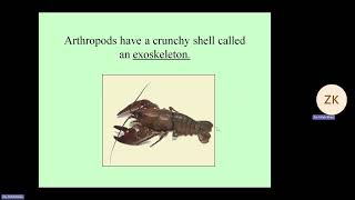 Biology 1ST YearChapter10Topic PHYLUM OF arthropods By ProfZia ullah khan uniqueLda [upl. by Yeslah]