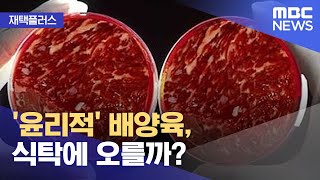 재택플러스 윤리적 배양육 식탁에 오를까 20220504뉴스투데이MBC [upl. by Harve]