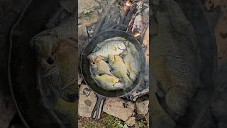 Catch and Cook Crappie and Bluegill [upl. by Emalee]