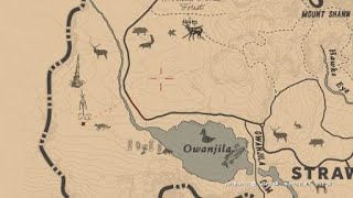 Red Dead Redemption 2 Obelisk pagan ritual amp tree faces location [upl. by Harrod]