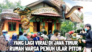 Viral  Warga Beramairamai Melihat Rumah Penuh Ular Piton Berukuran Raksasa [upl. by Anib]