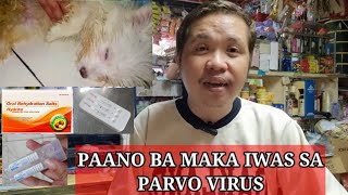 PARVO VIRUS IN DOGS  Home Remedy and Treatments For Parvo Virus [upl. by Koss972]