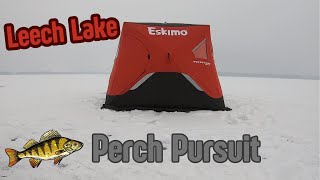 Ice Fishing Leech Lake 2024  Perch Pursuit [upl. by Adiene]