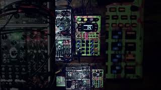 Eurorack modular and Friends Jam  Launchpad Mini via FH2 for sequencing [upl. by Hackathorn]