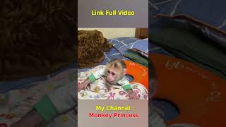 Monkey NANA woke up and missed her dad so much shorts smartmonkey babymonkey monkeynana [upl. by Rogerio]