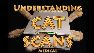 Understanding CT scans [upl. by Hodgkinson]