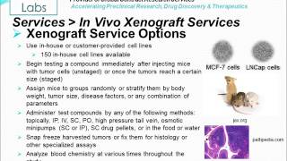 In Vivo Xenograft Service [upl. by Coy2]