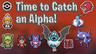 The Basics of Klutz Pokemon PokeMMO Alpha Catching [upl. by Wichman356]