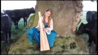 Hands on Harps Concert to Cows [upl. by Trutko764]