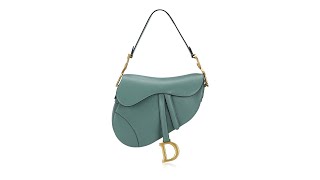 Christian Dior Goatskin Medium Saddle Bag Green [upl. by Einatsed]