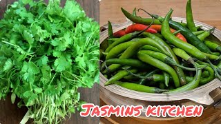 ধনিয়া পাতা ও কাঁচা মরিচ সংরক্ষণ করার উপায়  Jasmins kitchen [upl. by Dody]