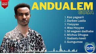 Andualem Gosa Best Music Collection [upl. by Malvie]