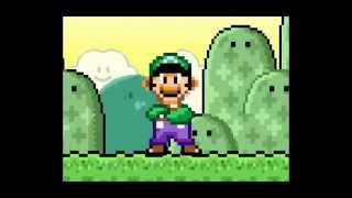 Dumbass Luigi [upl. by Tabber]