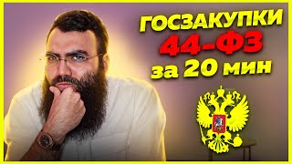 🟣 44 ФЗ  ГОСЗАКУПКИ для начинающих за 20 мин Тендерные площадки ЕИС закупки гов ру тендеры 2023 [upl. by Anneiv428]