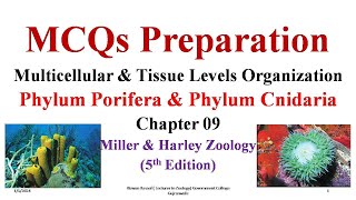 MCQs Phylum Cnidaria Phylum Porifera Sponges Parazoa Porifera Sponges FPSC SPSC KPSC PPSC [upl. by Anival321]