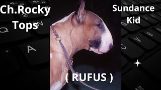 ChRocky Tops Sundance Kid [upl. by Adgam]