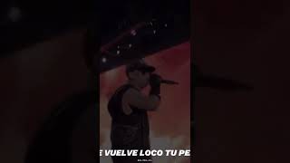 Algo Me Gusta de Ti  Wisin amp Yandel  music viralvideo tiktok foryou shorts shortvideo alv [upl. by Oballa]