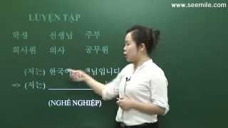 SEEMILE I TIẾNG HÀN NHẬP MÔN 4GIỚI THIỆU BẢN THÂN 자기 소개 [upl. by Giorgi216]