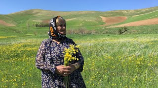 Cooking dolma in village  village lifestyle iran  iran nomadic lifestyle [upl. by Suirtemid746]