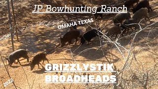 JP Bowhunting Ranch Omaha Texas 2022 [upl. by Uyekawa]