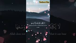 Beautiful Quran Verses shorts viralshorts shortvideo youtubeshorts ytshorts [upl. by Connie]