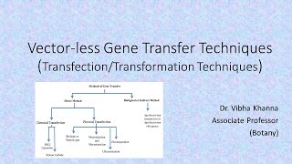 Vectorless Gene Transfer Techniques By Dr Vibha Khanna [upl. by Corso]