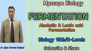 Fermentation  Types of Fermentation  10th  Olevels  Urdu amp Hindi [upl. by Suivat]