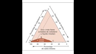 CIRUGÍA La bilis litogenica en la litiasis vesicular se forma por [upl. by Eilatan]