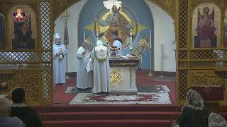 St Maurice Coptic Orthodox Church Live [upl. by Odnalra]