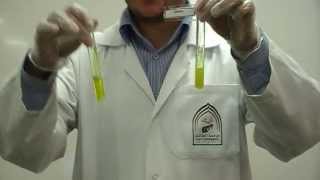 Picric Acids test Part 2 to differentiate between Gelatin amp peptone [upl. by Ima]