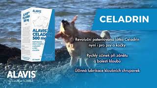 Alavis celadrin pro psy a kočky 500 mg s patentovanou účinnou látkou Celadrin [upl. by Hahcim489]